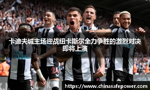 卡迪夫城主场迎战纽卡斯尔全力争胜的激烈对决即将上演